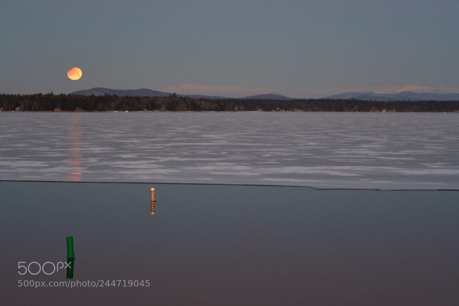 Nikon D7500 sample photo. Super blue blood moon photography