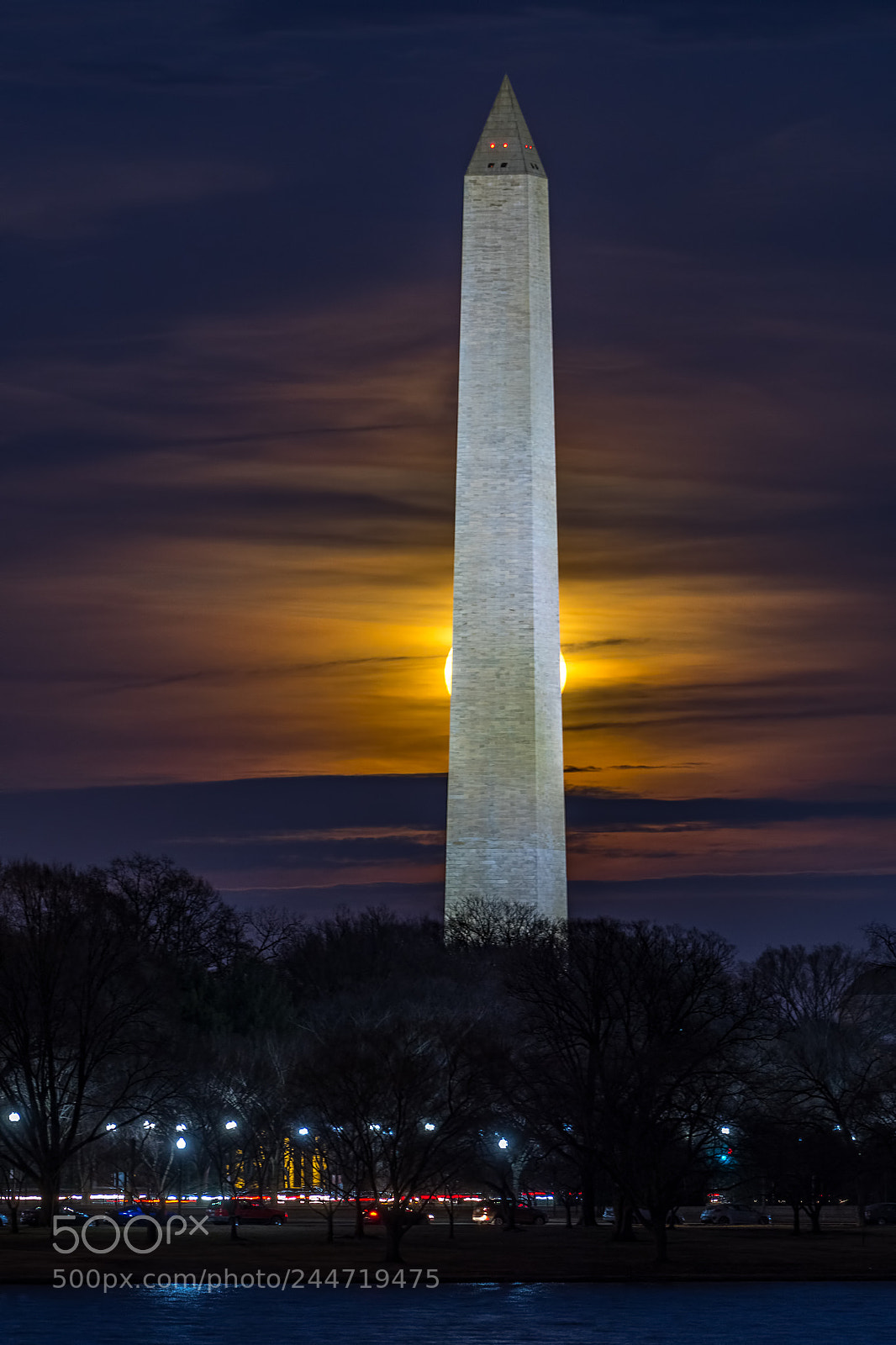 Nikon D500 sample photo. Blue moon hide and photography
