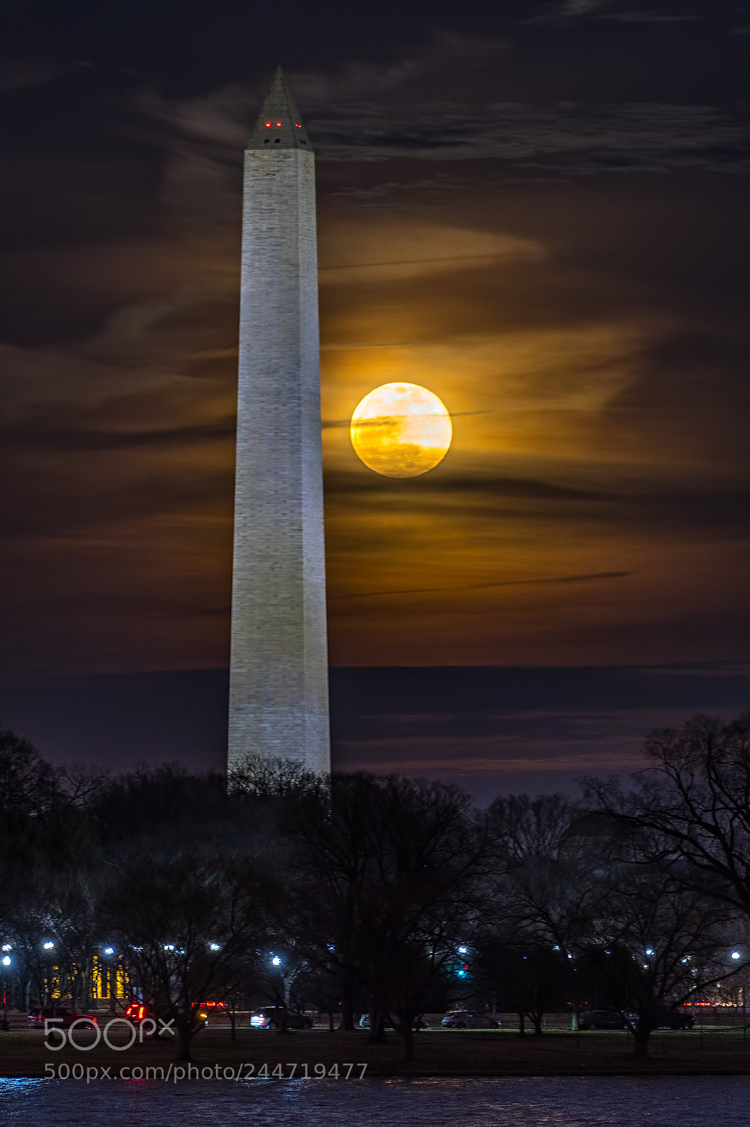 Nikon D500 sample photo. Perfect blue moon photography
