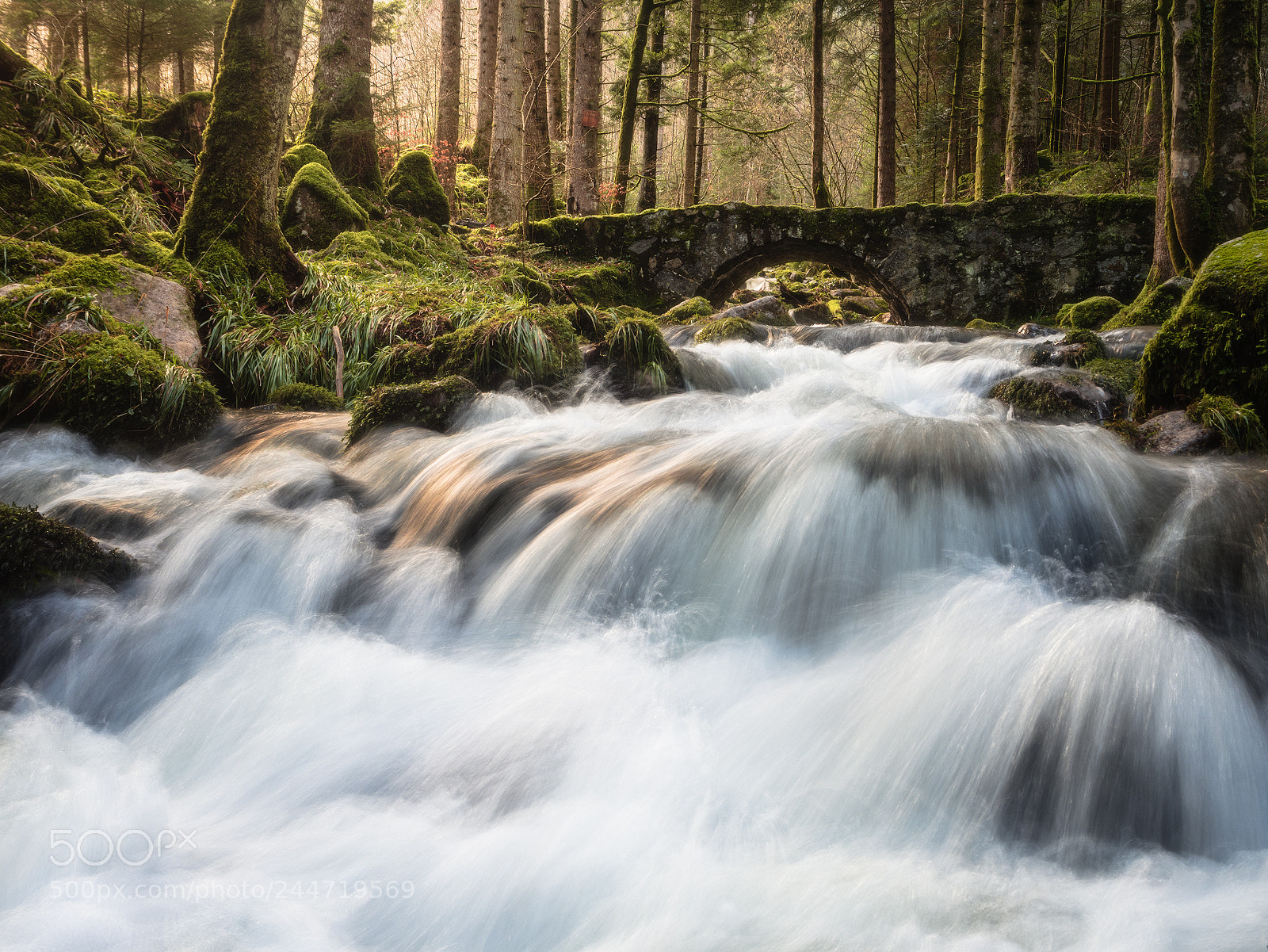 Olympus OM-D E-M5 II sample photo. River photography
