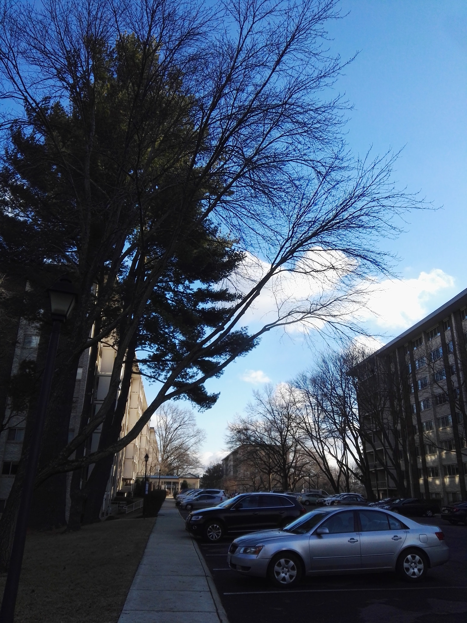 HUAWEI DAV sample photo
