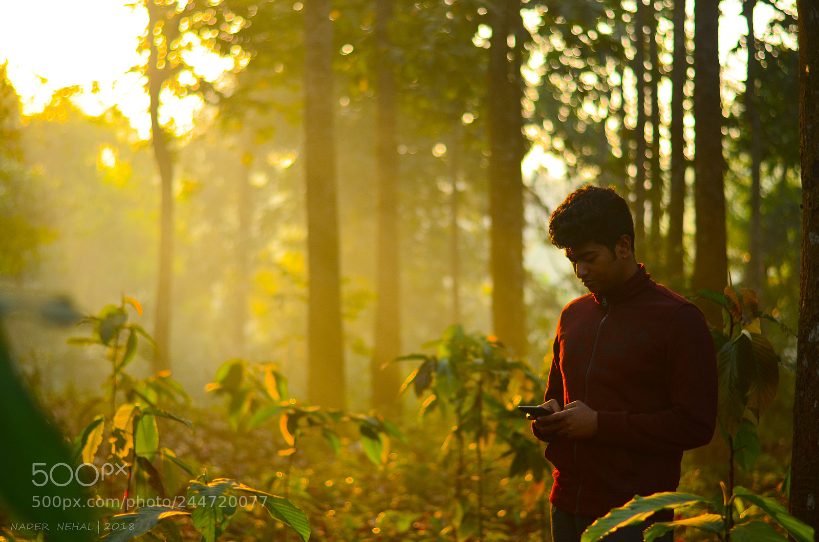 Nikon D5100 sample photo. Pranjol. photography