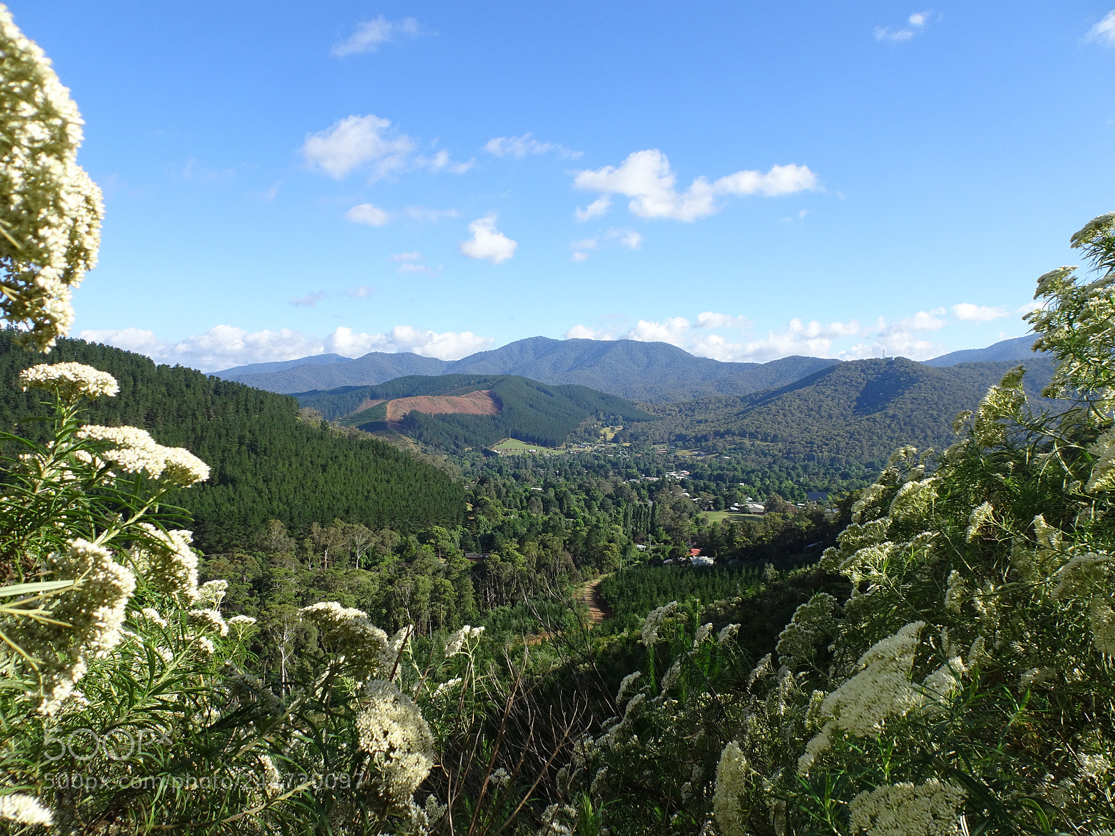 Sony DSC-HX90 sample photo. Beautiful bright, australia photography