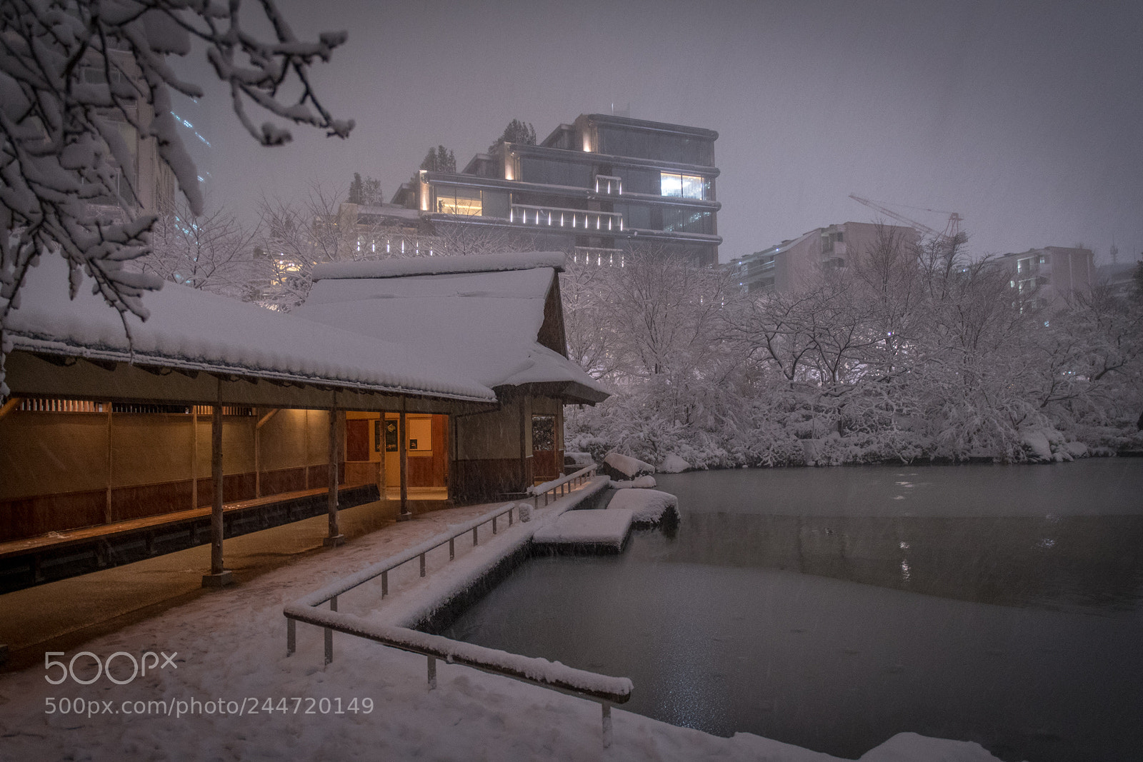 Nikon D500 sample photo. Tokyo blizzard photography