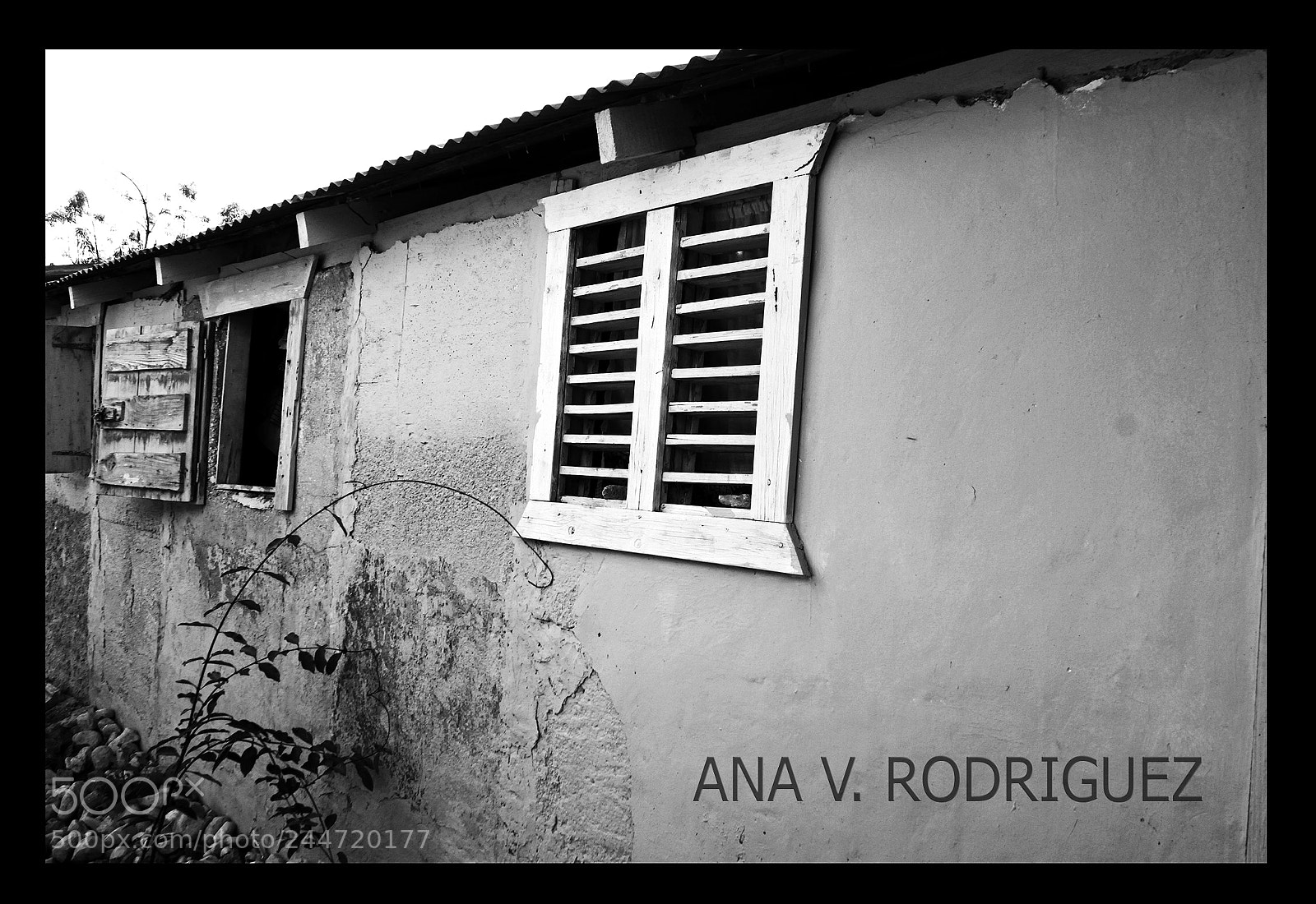 Canon EOS 500D (EOS Rebel T1i / EOS Kiss X3) sample photo. Untitled photography