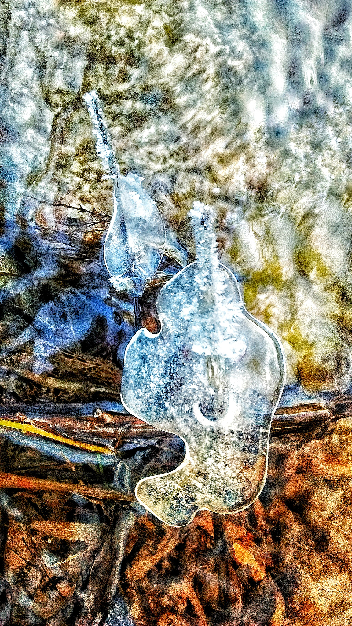 Motorola Moto E with 4G LTE (2nd Gen) sample photo. Fall and winter meet photography