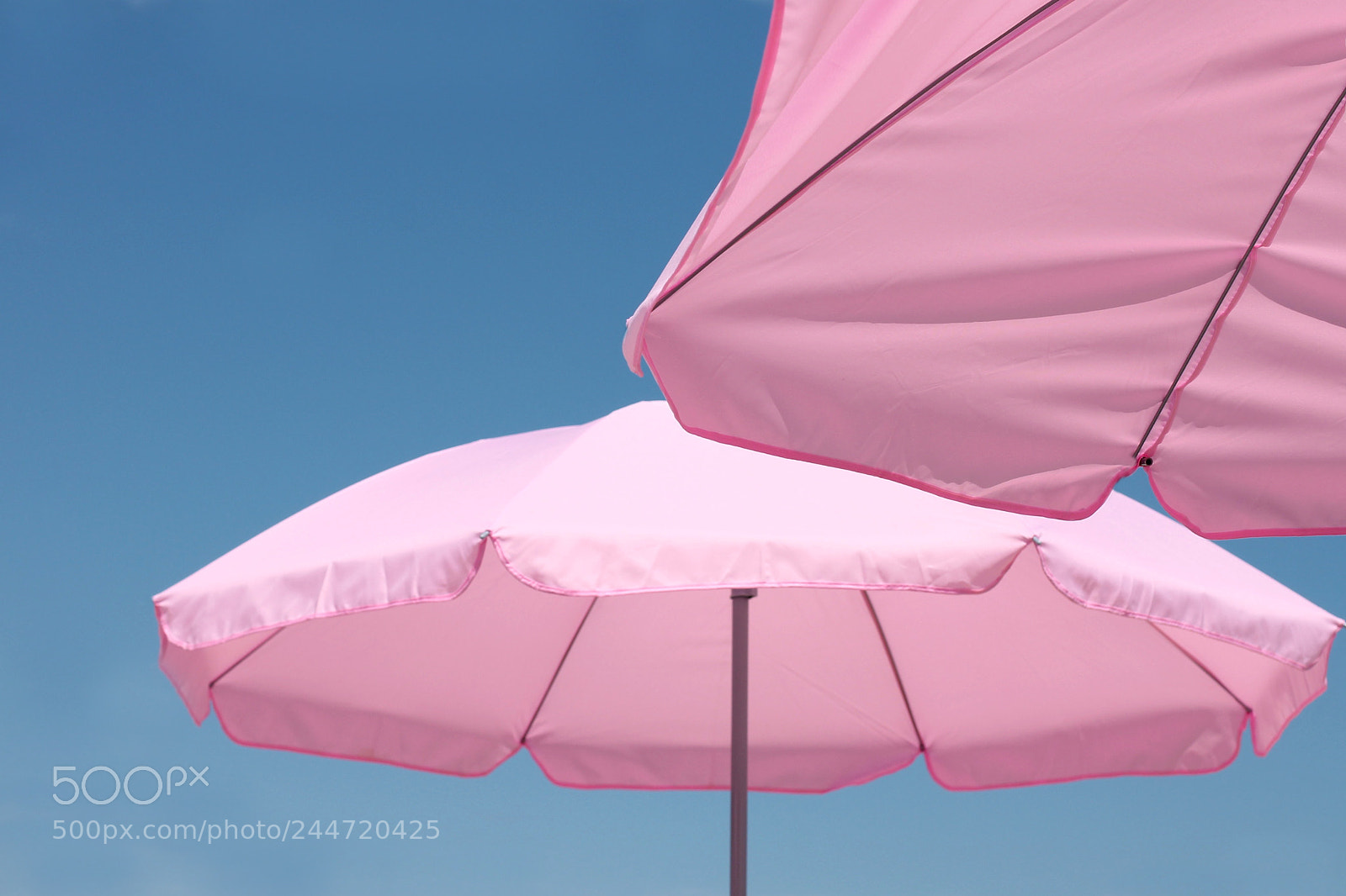 Canon EOS 1100D (EOS Rebel T3 / EOS Kiss X50) sample photo. Pink & blue photography