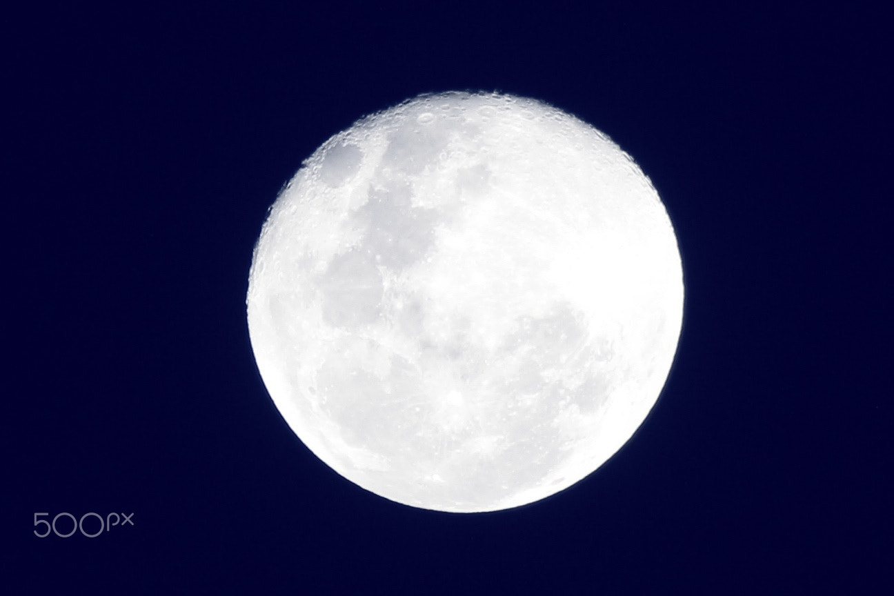 Canon EOS 650D (EOS Rebel T4i / EOS Kiss X6i) + EF75-300mm f/4-5.6 sample photo. Blue moon photography