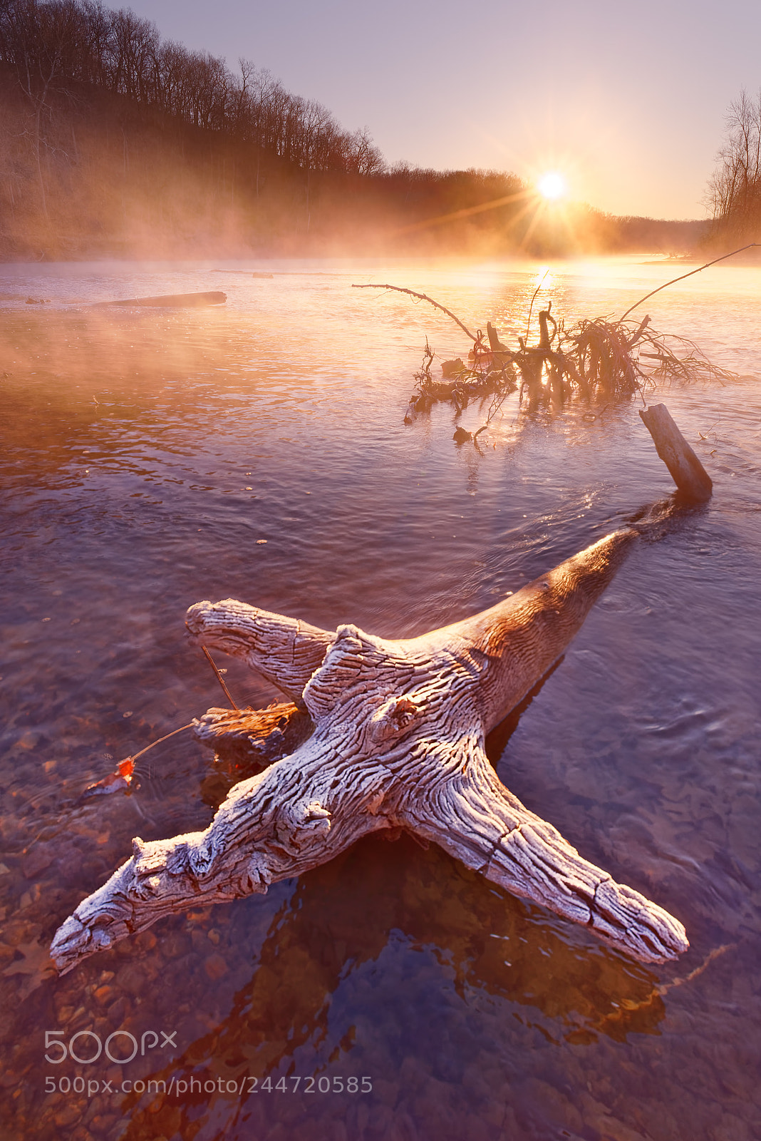 Nikon D610 sample photo. Mist and frost photography