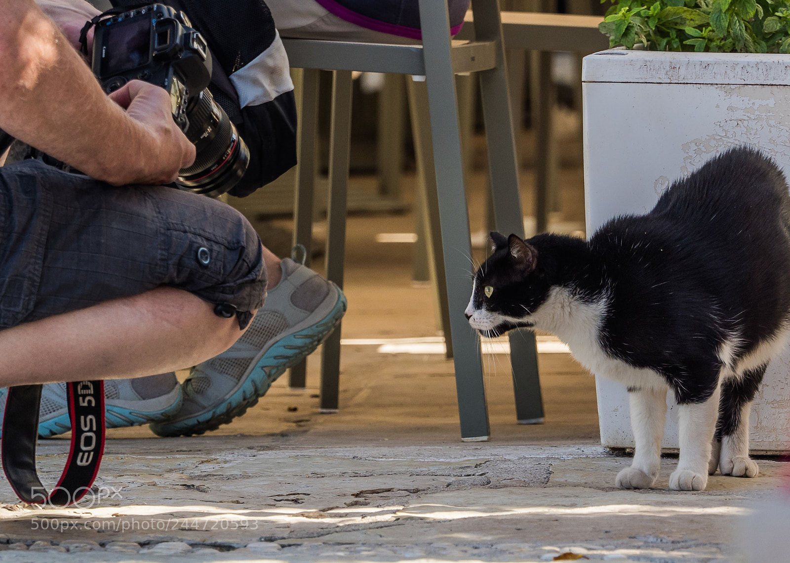 Olympus OM-D E-M1 Mark II sample photo. Olympus digital camera photography