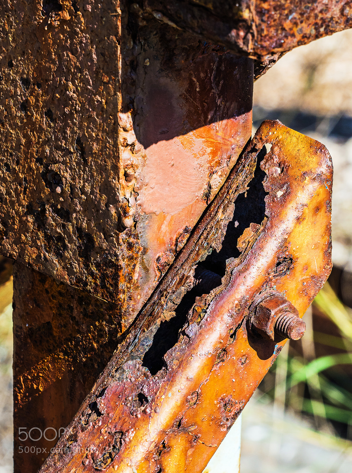Olympus OM-D E-M1 Mark II sample photo. Olympus digital camera photography