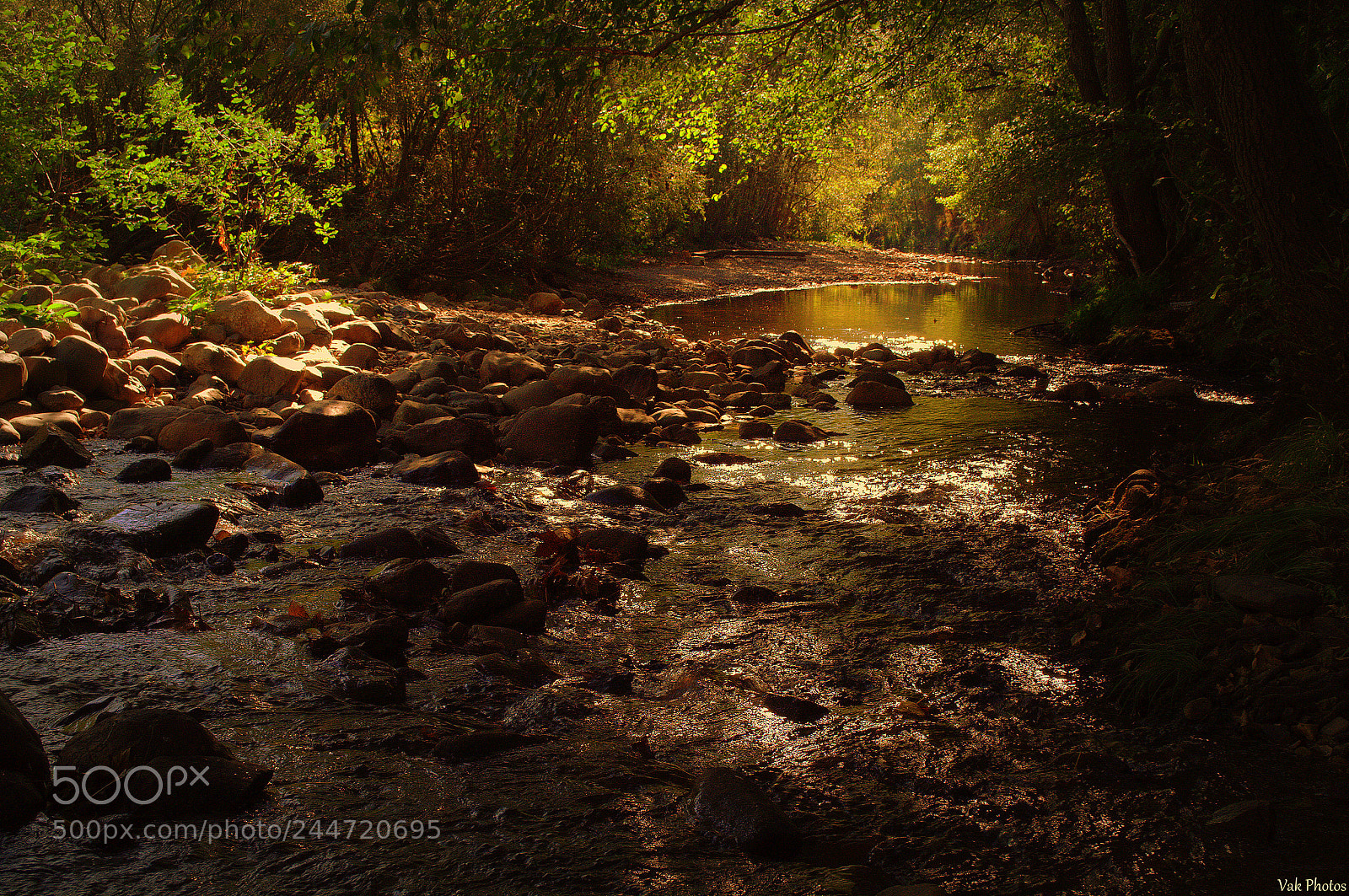Nikon D3100 sample photo. The river photography