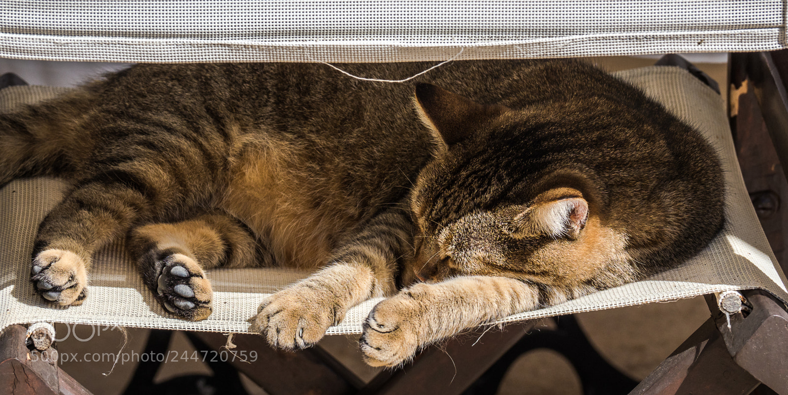 Olympus OM-D E-M1 Mark II sample photo. Olympus digital camera photography