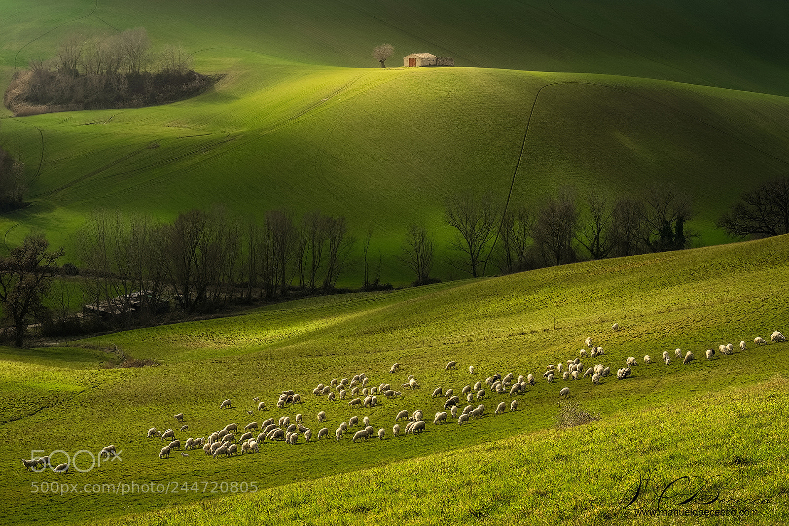 Fujifilm X-T2 sample photo. Countryside photography