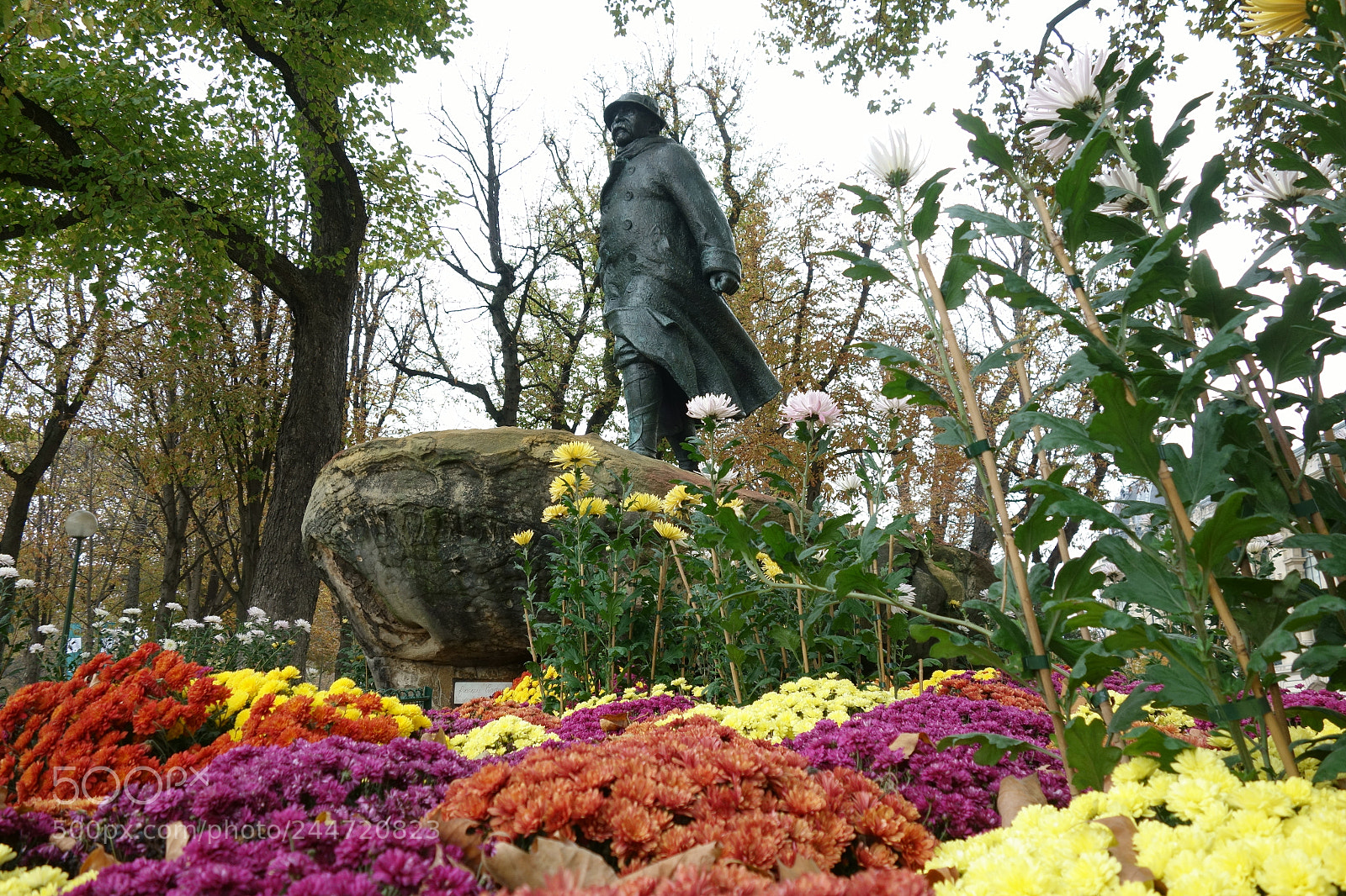 Sony Cyber-shot DSC-RX100 sample photo. Le tigre photography
