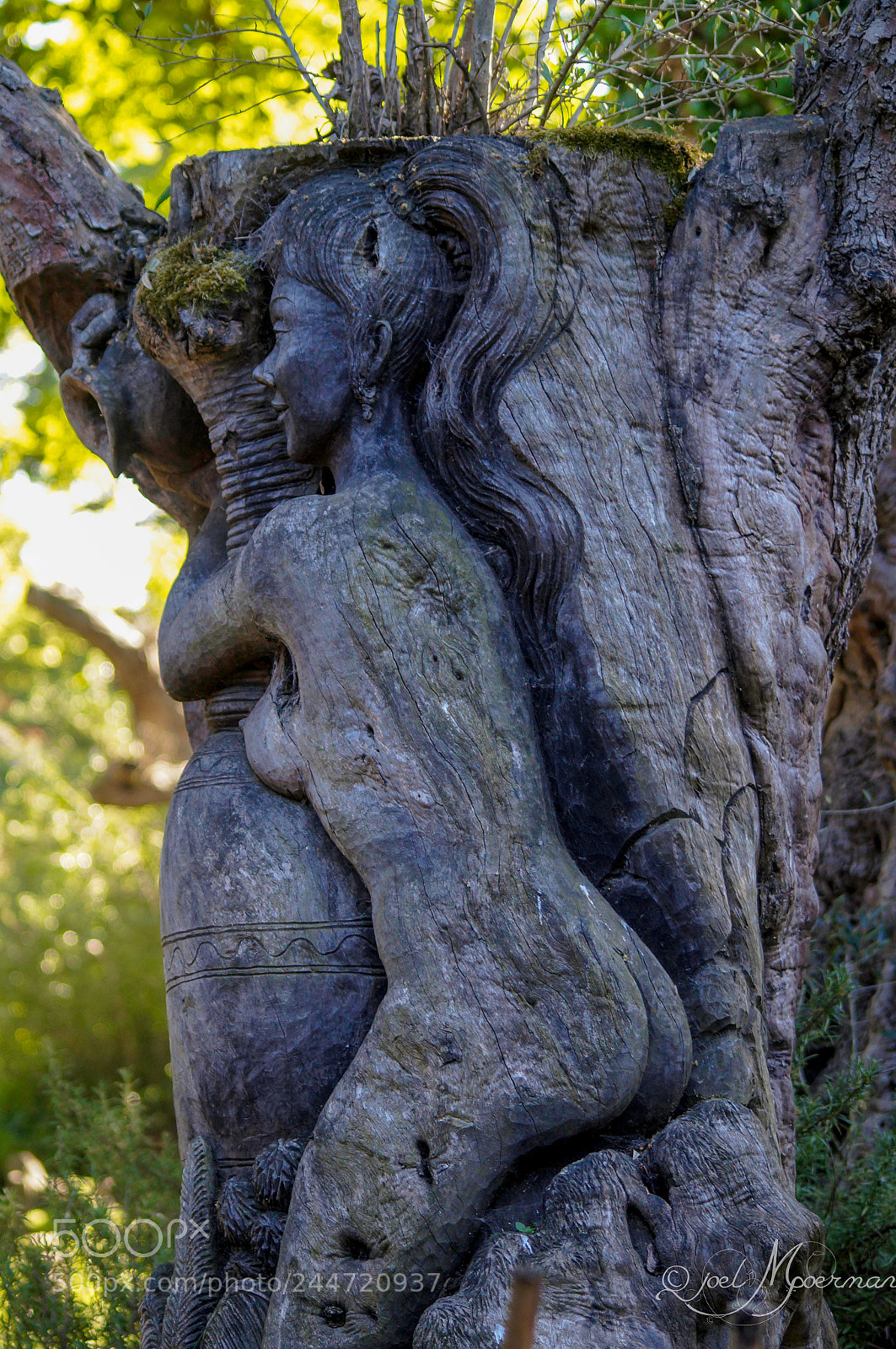 Sony SLT-A57 sample photo. Sculpture ! photography