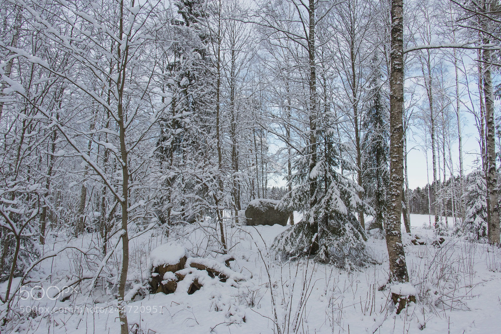 Canon EOS 70D sample photo. Winter photography