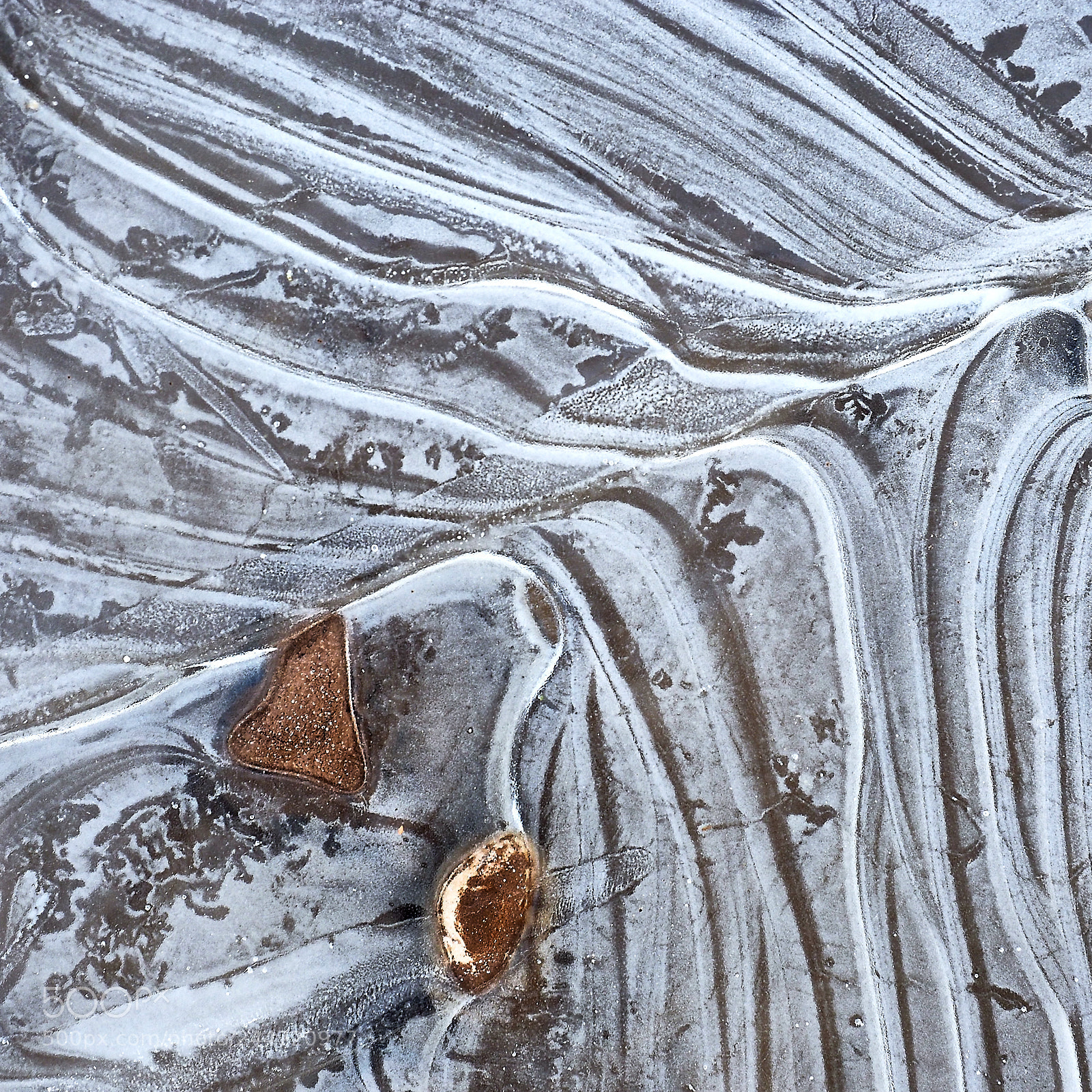 Olympus OM-D E-M1 sample photo. Frosty photography