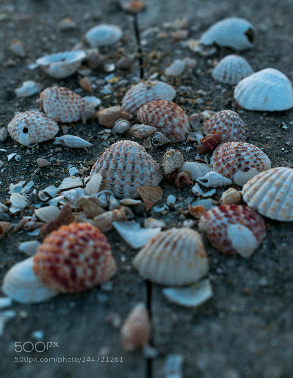 Nikon D3400 sample photo. Untitled photography