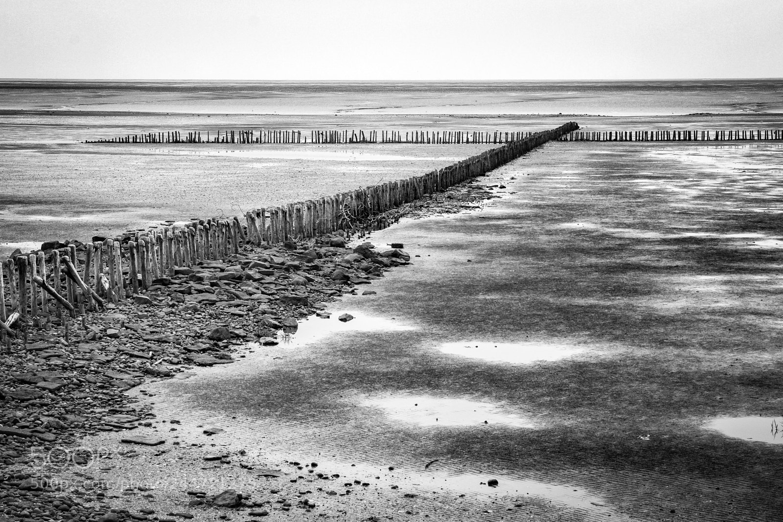 Canon EOS 500D (EOS Rebel T1i / EOS Kiss X3) sample photo. Wadden sea (4) photography
