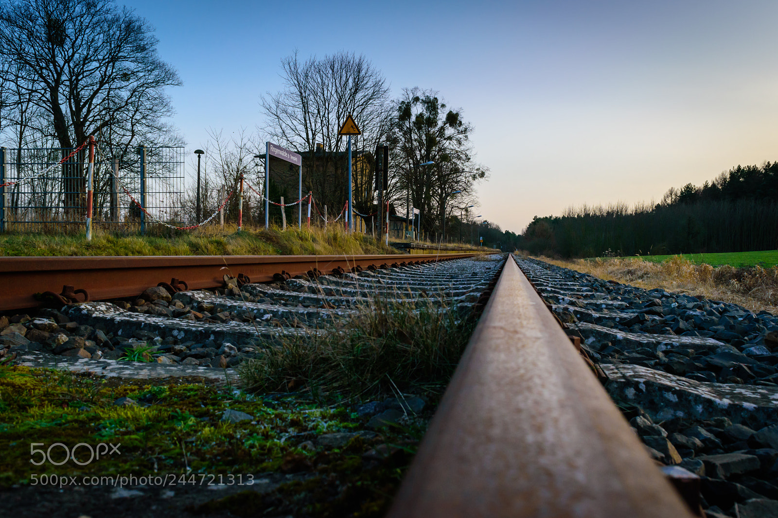Nikon D5500 sample photo. Abandoned railway / uckermark photography