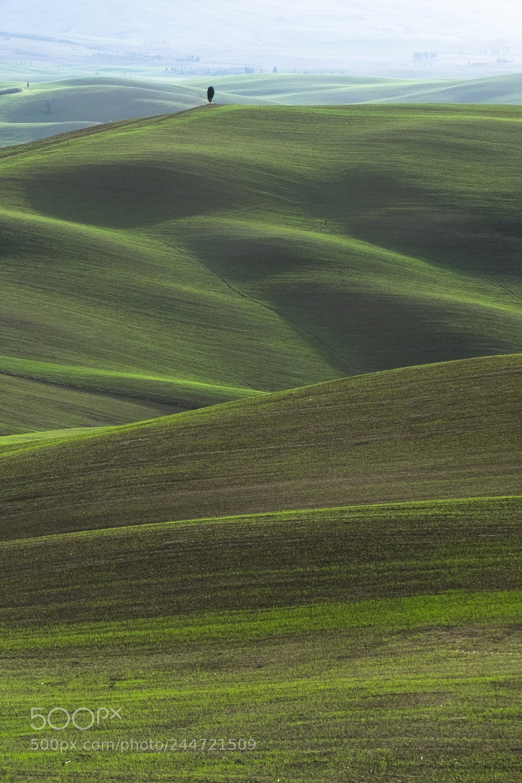 Fujifilm X-T10 sample photo. Val d'orcia photography