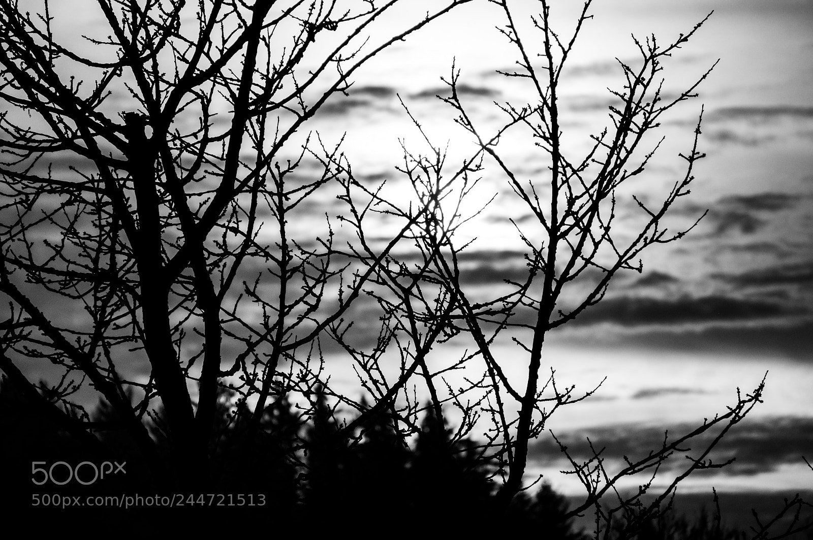 Sony Alpha NEX-5R sample photo. Ruined photography