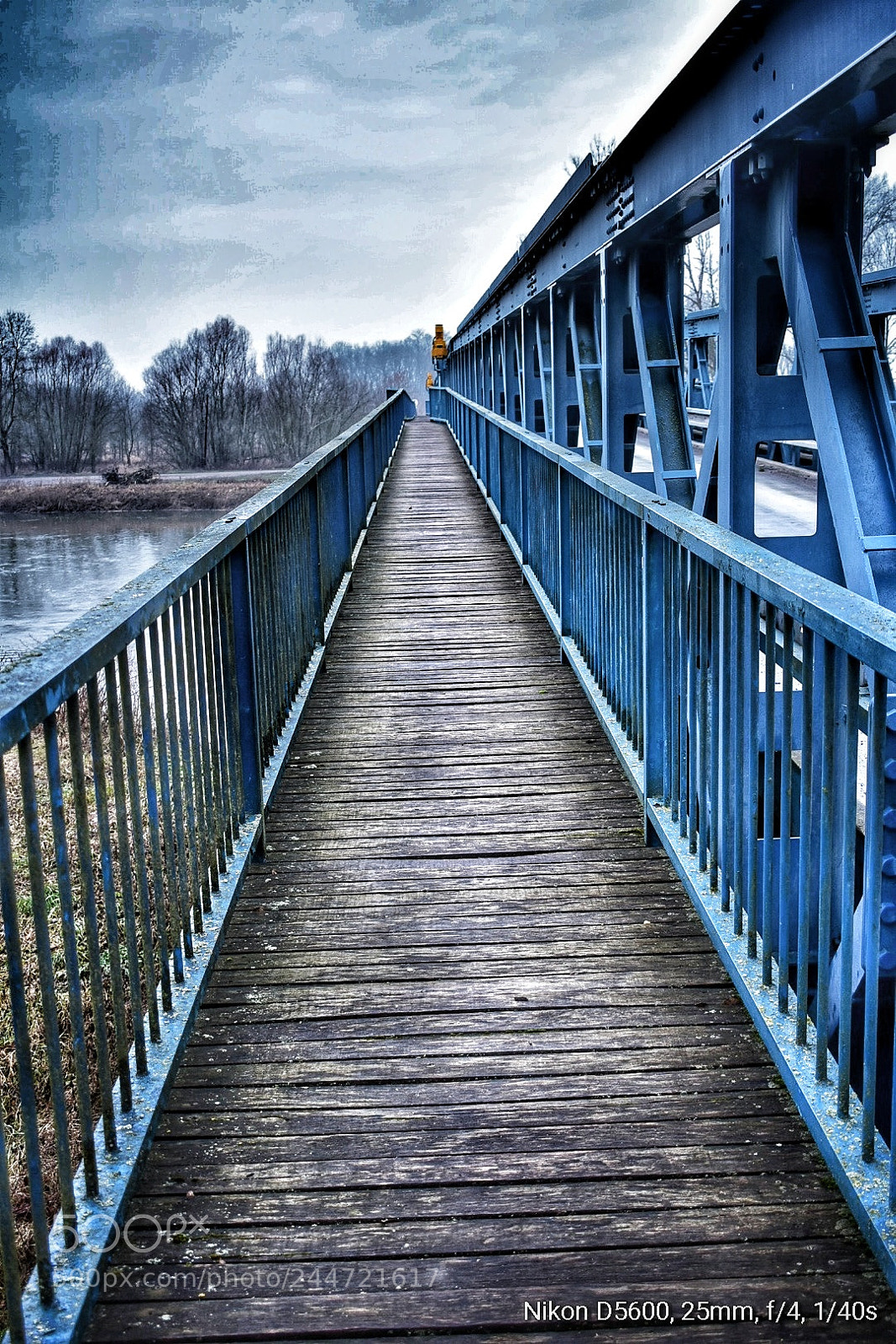 Nikon D5600 sample photo. The bridge over the photography