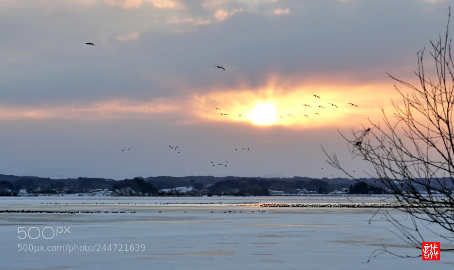 Sony a6500 sample photo. Sunset 0129 photography