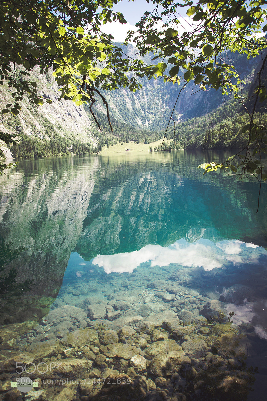 Nikon D7200 sample photo. Obersee photography