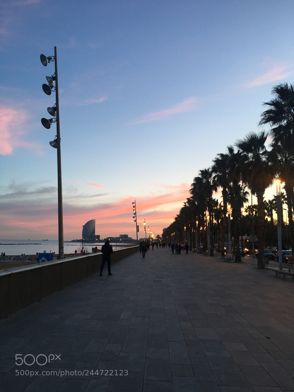 Apple iPhone 6s sample photo. An eternal walk. photography