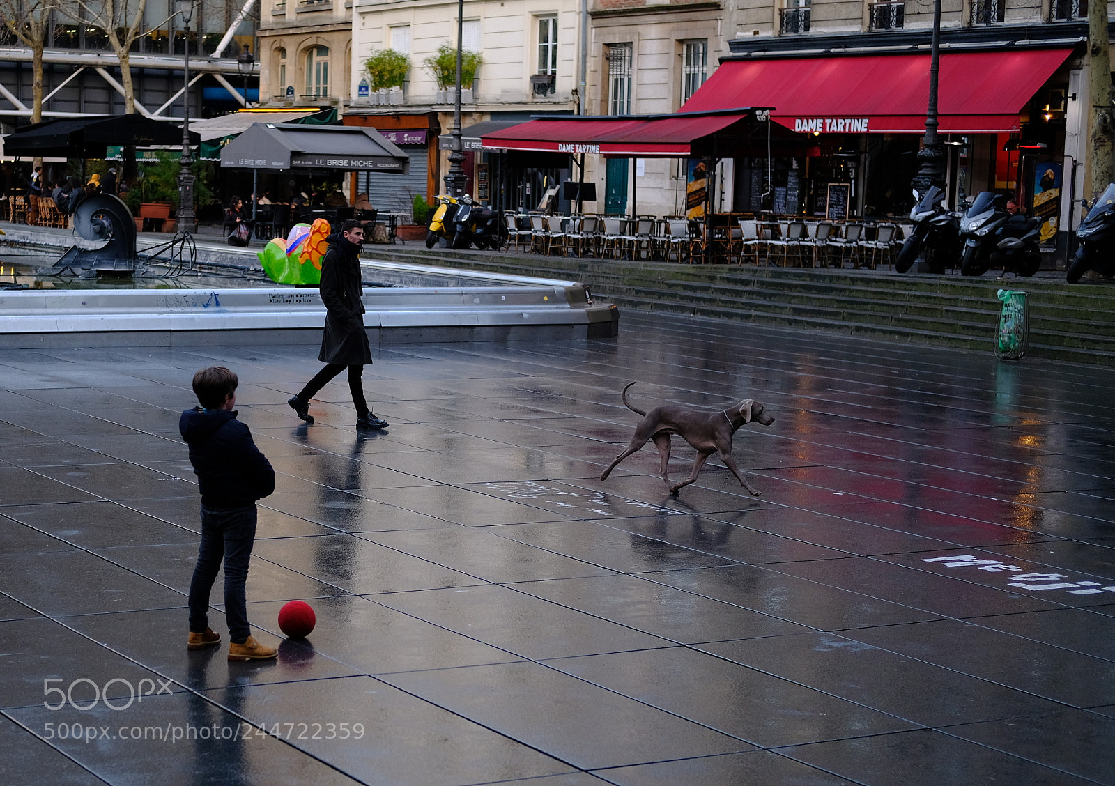 Fujifilm X-Pro2 sample photo. Boy, dog and balloon. photography