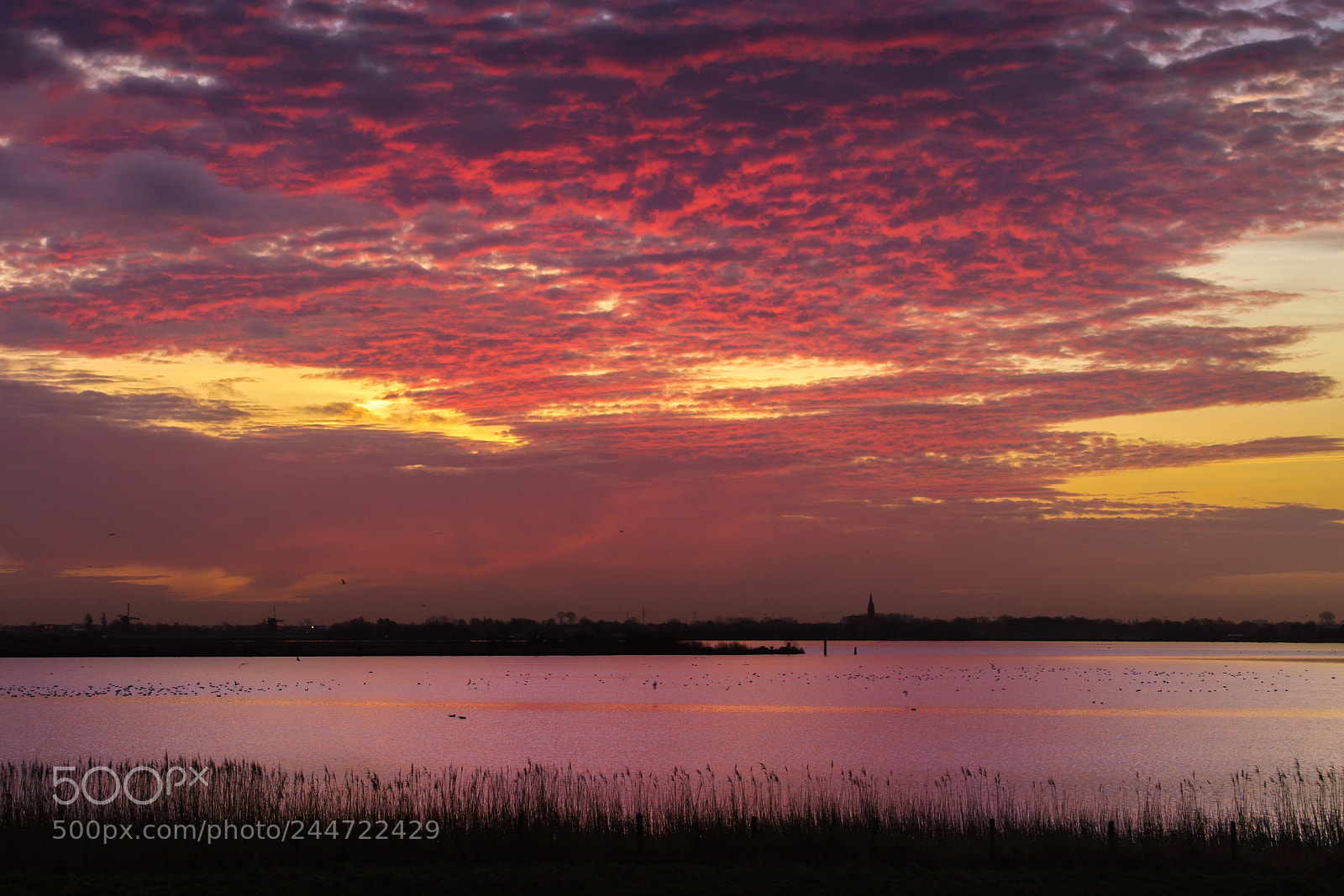 Sony a99 II sample photo. Red clouds photography