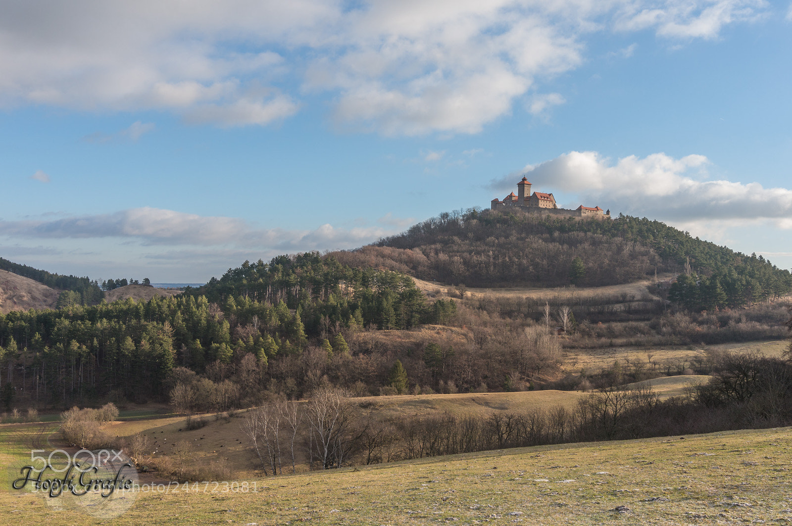 Sony Alpha NEX-3N sample photo. Die wachsenburg heute morgen photography