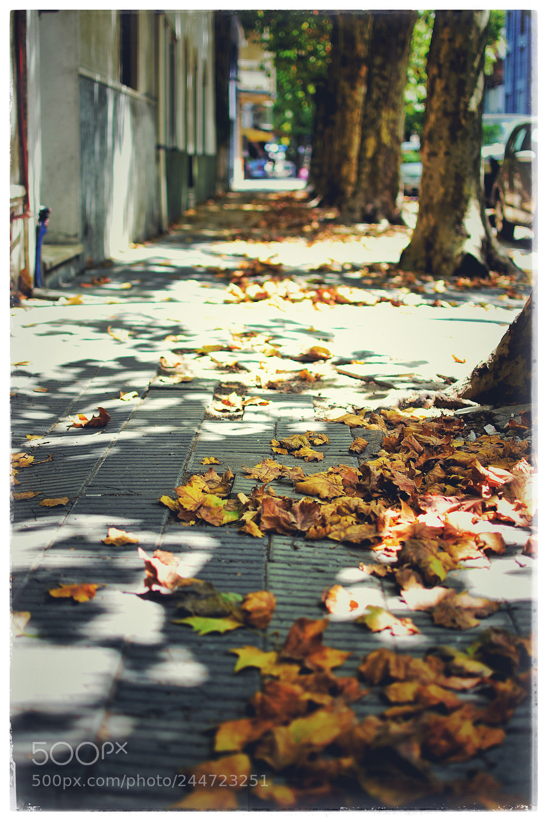 Nikon D7200 sample photo. ? ?? photography