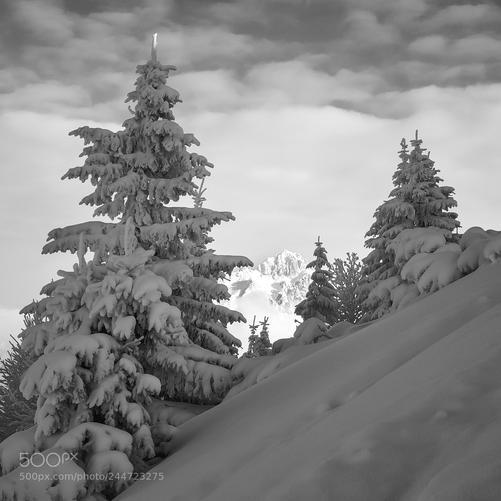 Nikon D90 sample photo. Mf bw photography