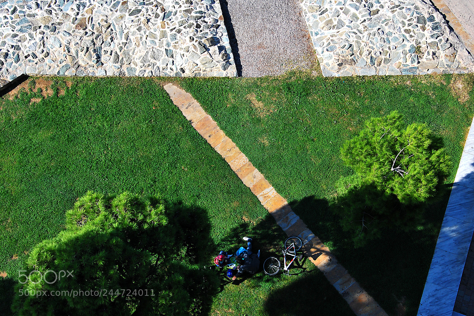 Nikon D60 sample photo. Diagonal photography