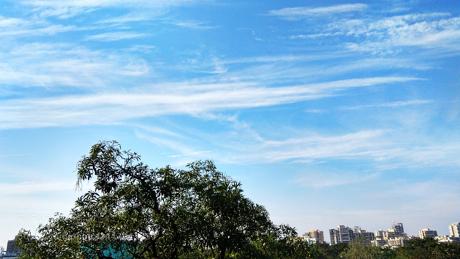 Xiaomi Redmi Note 4 sample photo. Untitled photography
