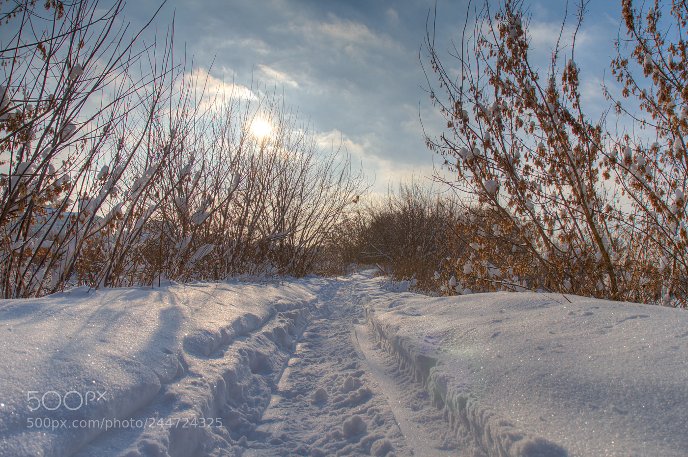 Canon EOS 60D sample photo. Snow road photography