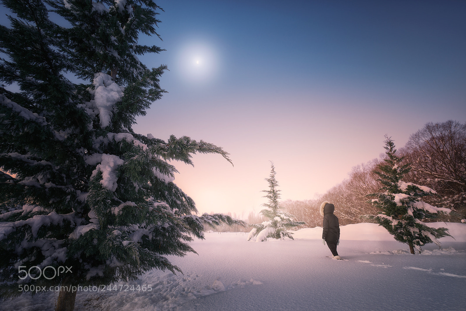 Sony a7R II sample photo. Buscando una luna photography