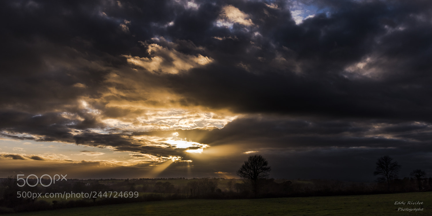 Nikon D810 sample photo. Sunset photography