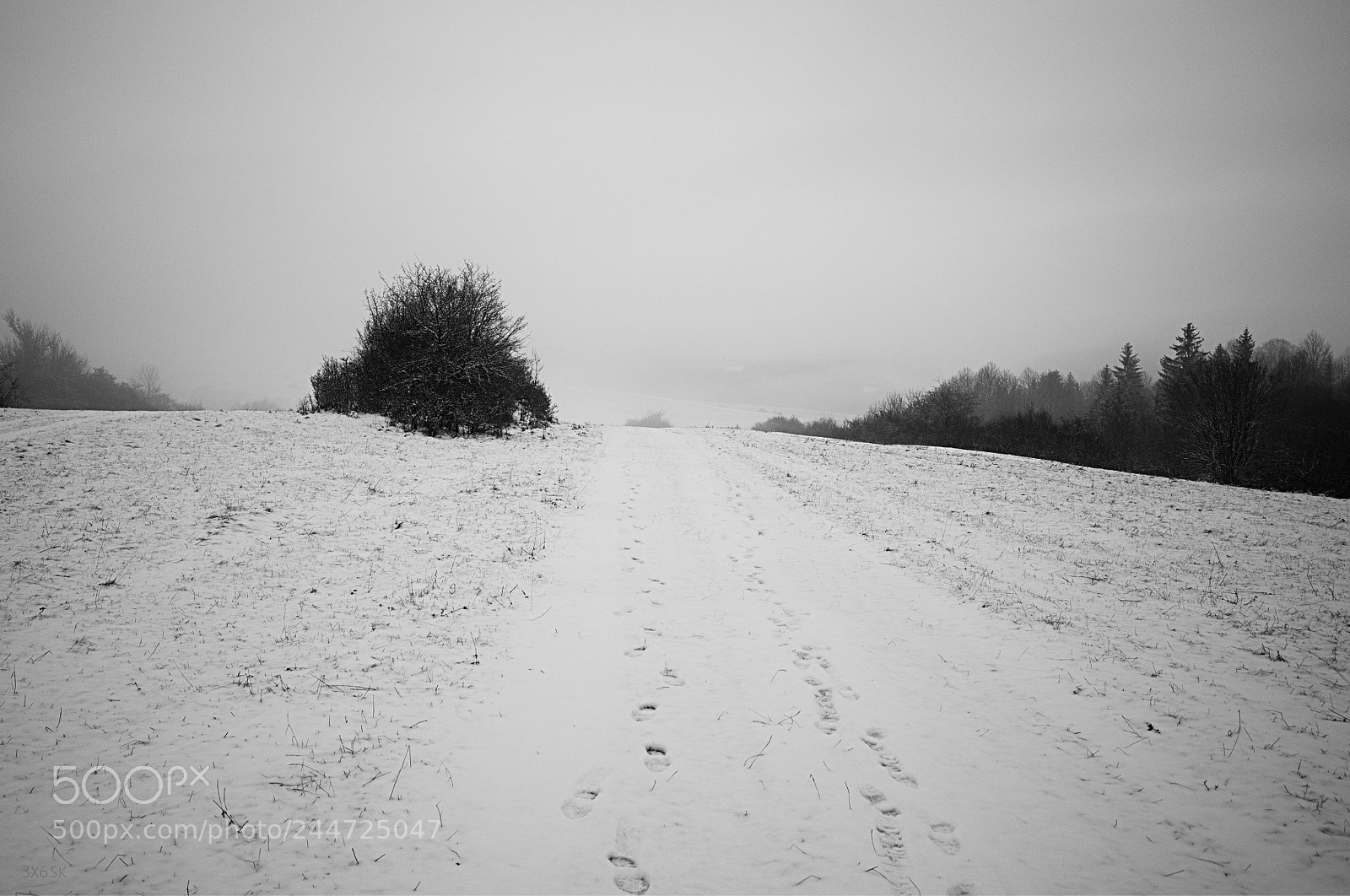 Ricoh GR sample photo. Winter melancholy photography