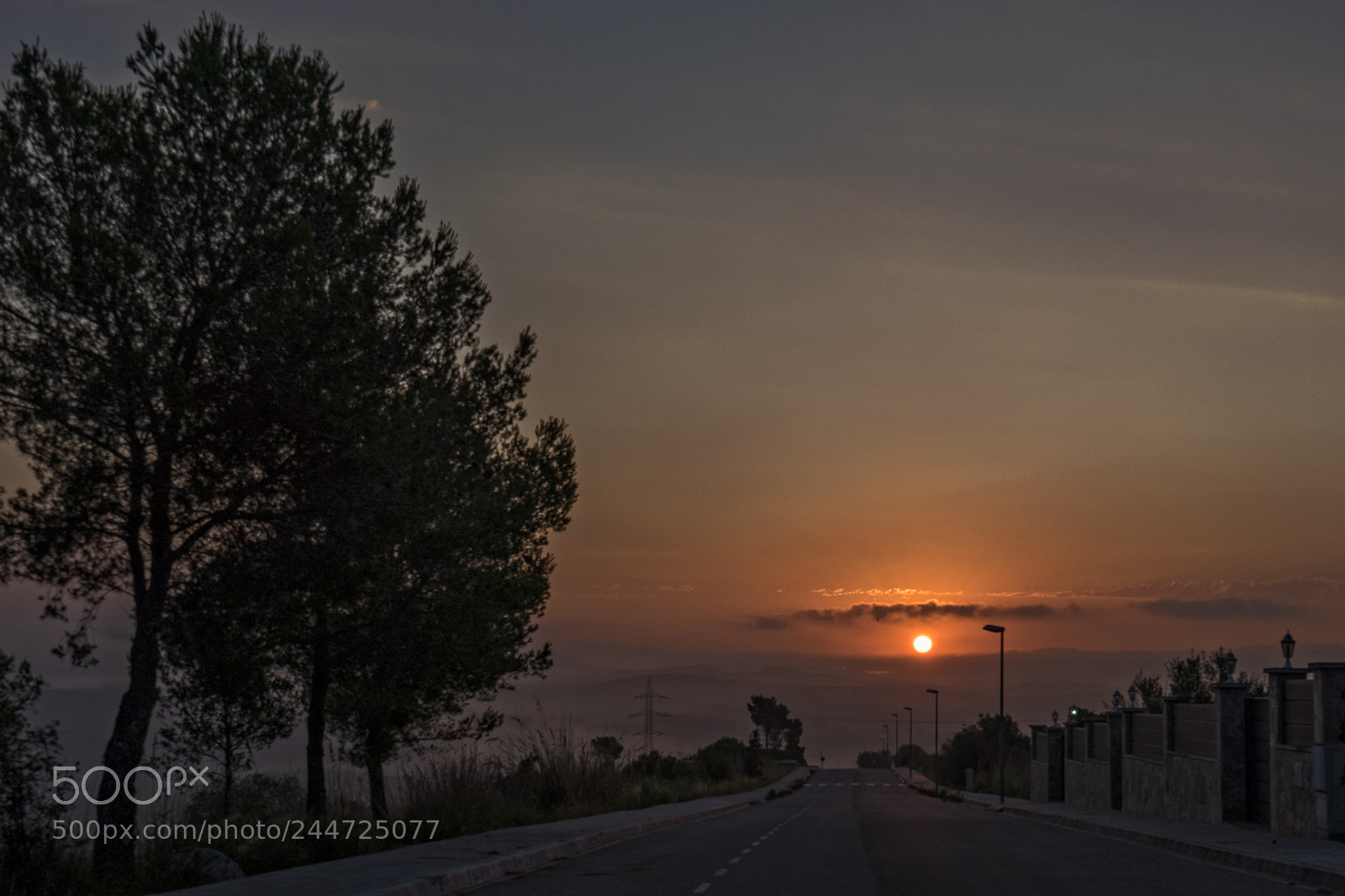 Sony a7 II sample photo. Canyelles photography