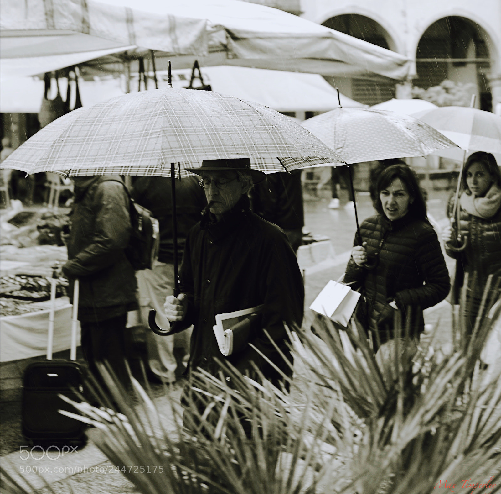 Nikon D600 sample photo. Man smoking a cigar photography