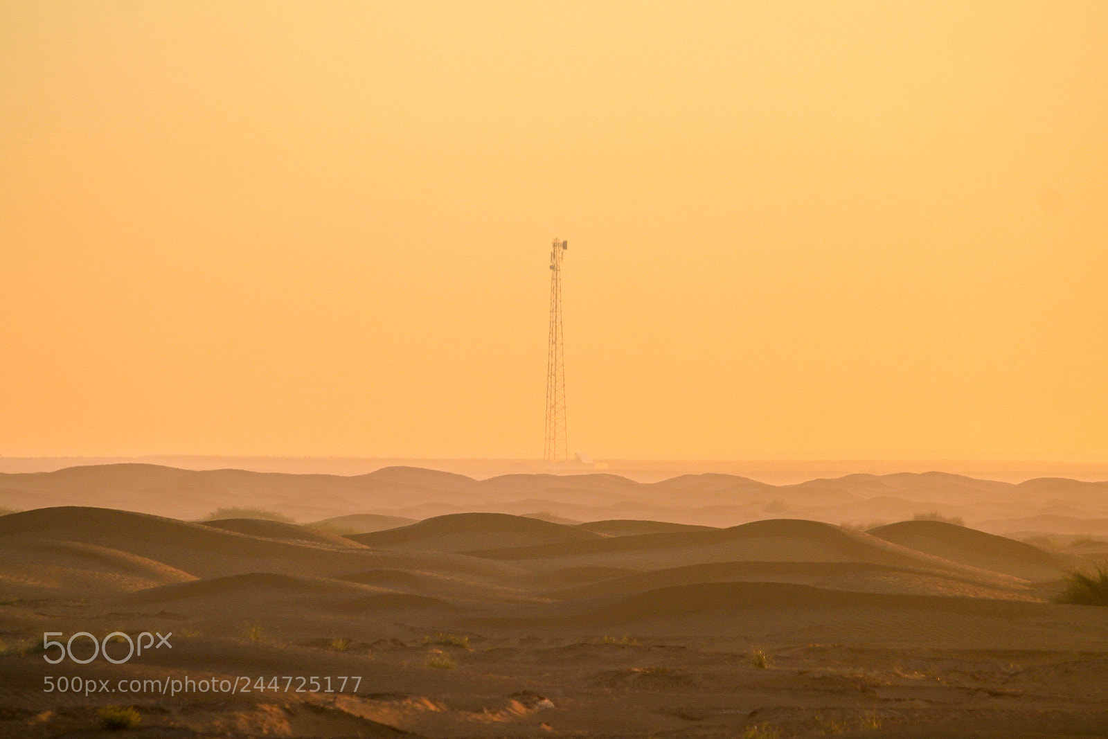 Canon EOS 500D (EOS Rebel T1i / EOS Kiss X3) sample photo. Foggy dunes photography
