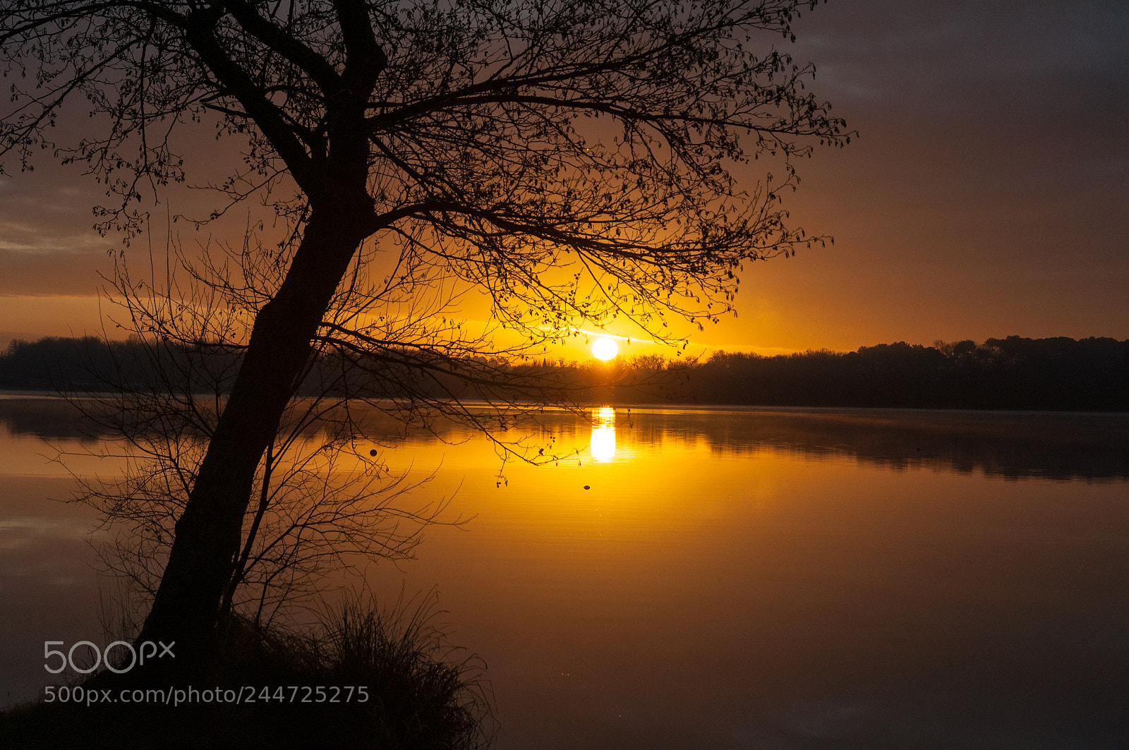 Nikon D90 sample photo. Sun rise photography