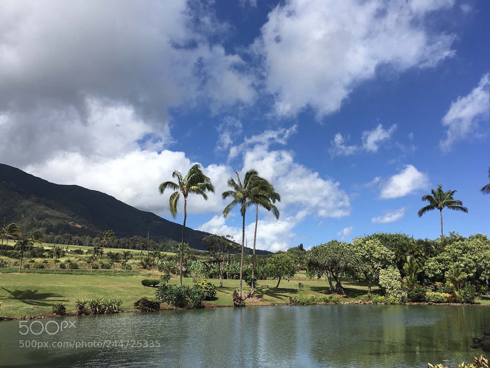 Apple iPad Pro sample photo. Untitled photography