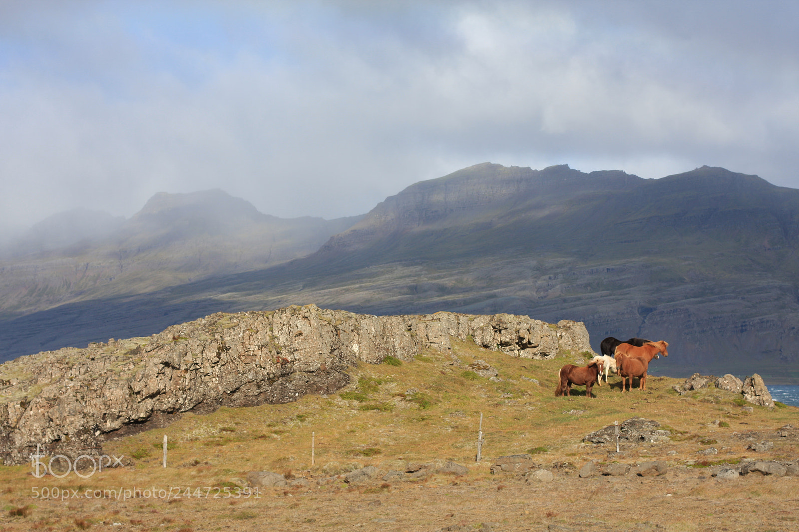 Canon EOS 40D sample photo. Iceland and horses photography