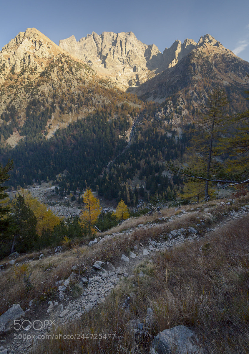 Nikon D5100 sample photo. Warm and quiet photography