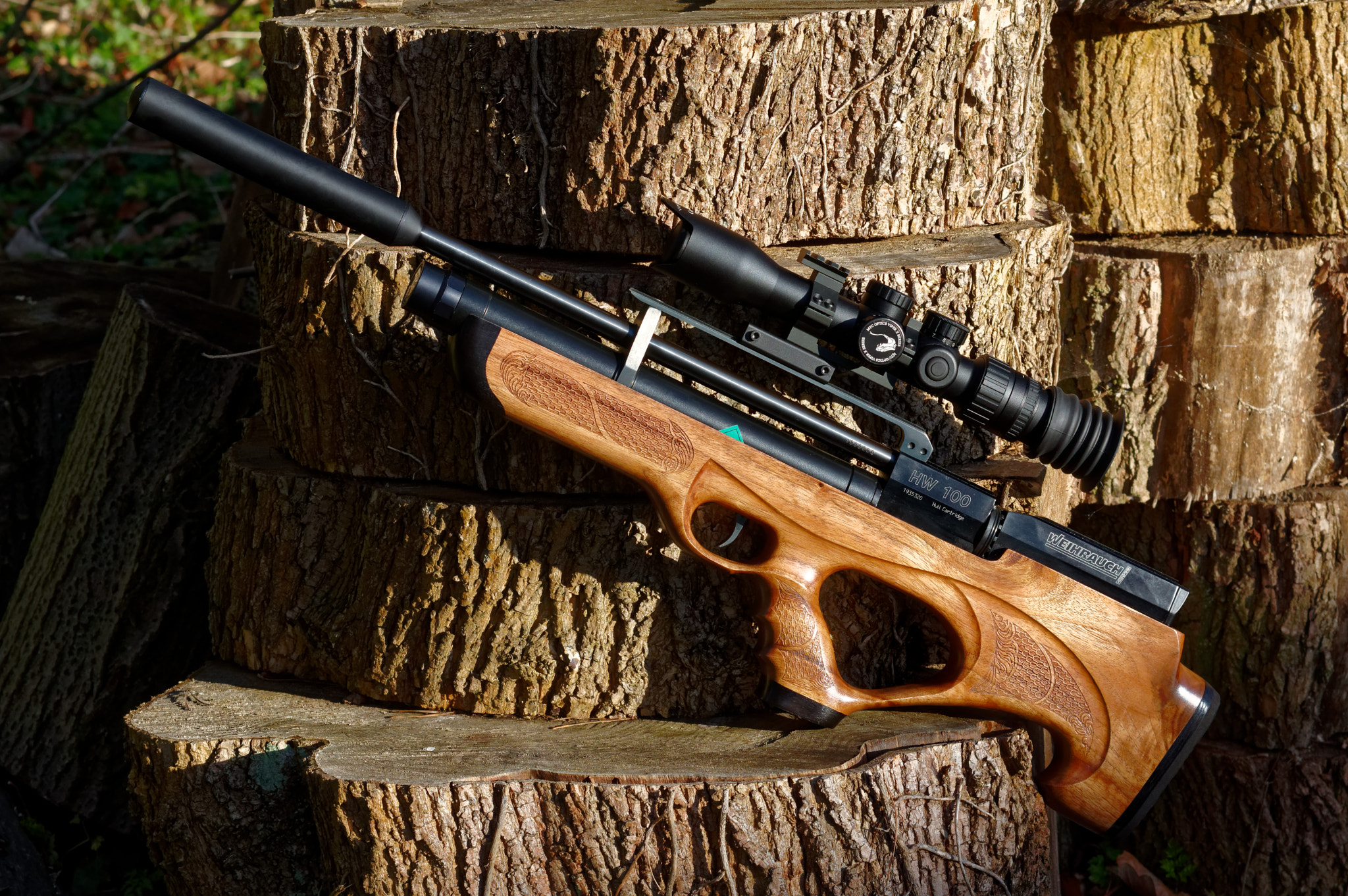 Pentax K-3 II sample photo. Tamron 70-200 mm sp . air rifle hw100 photography